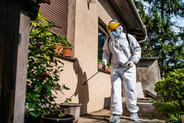 Reliable Woodinville, WA Pest Control Solutions