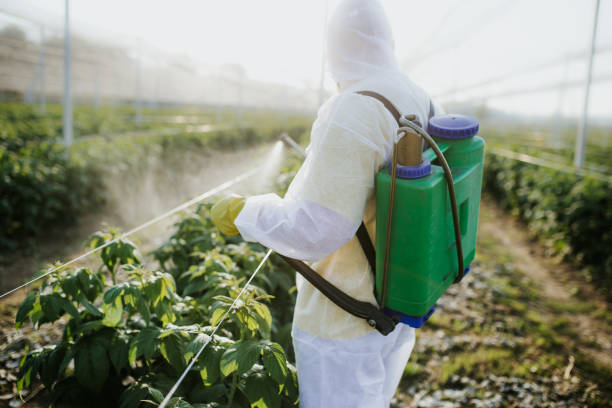 Best Local Pest Control Services  in Woodinville, WA